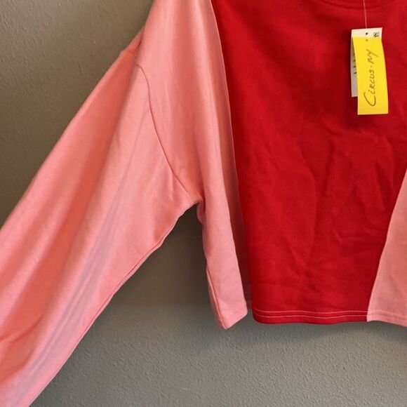 NWT-Circus NY- Cropped color blocked oversized top- Size small - Picture 3 of 11